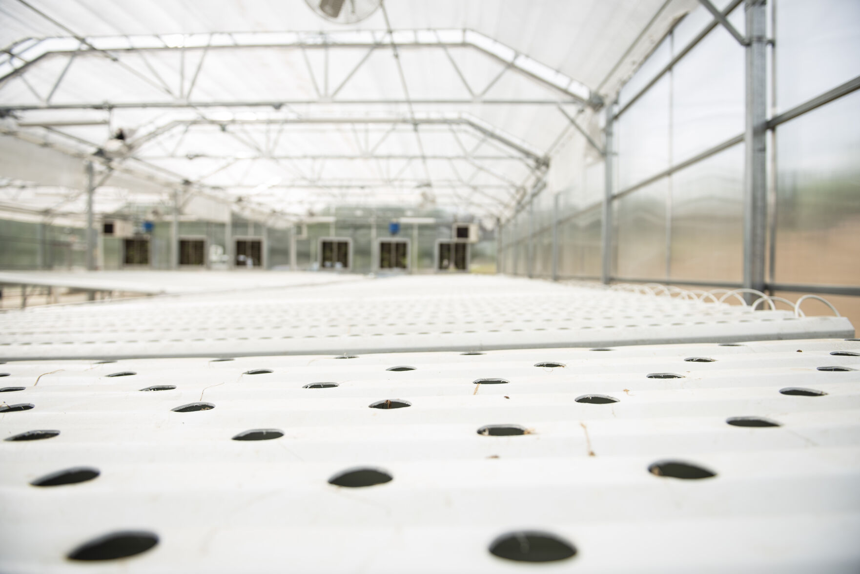 Hydroponic Greenhouse